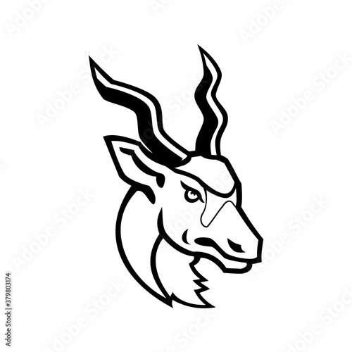 Head of an Addax White Antelope or Screwhorn Antelope Mascot Black and White