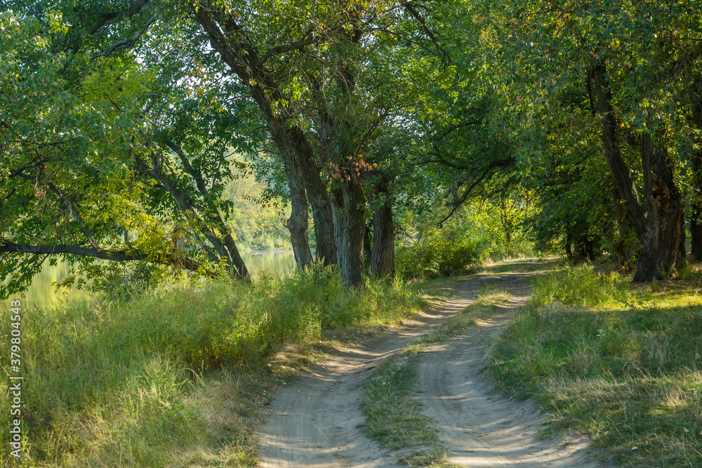 Fototapeta premium Autumn landscape, vegetation along the river