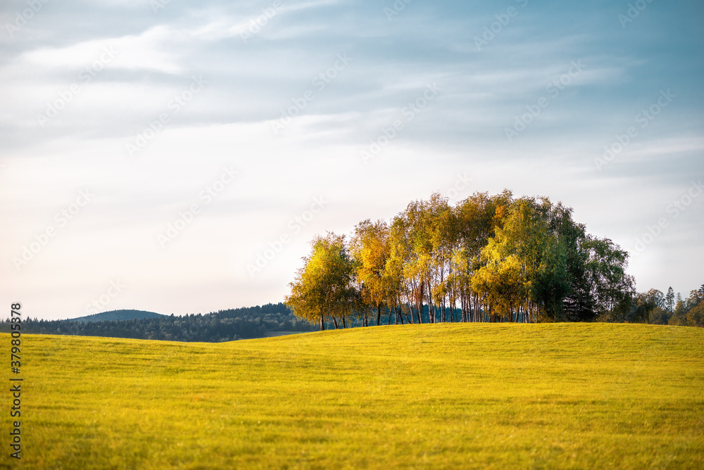 Fototapeta premium autumn landscape with trees