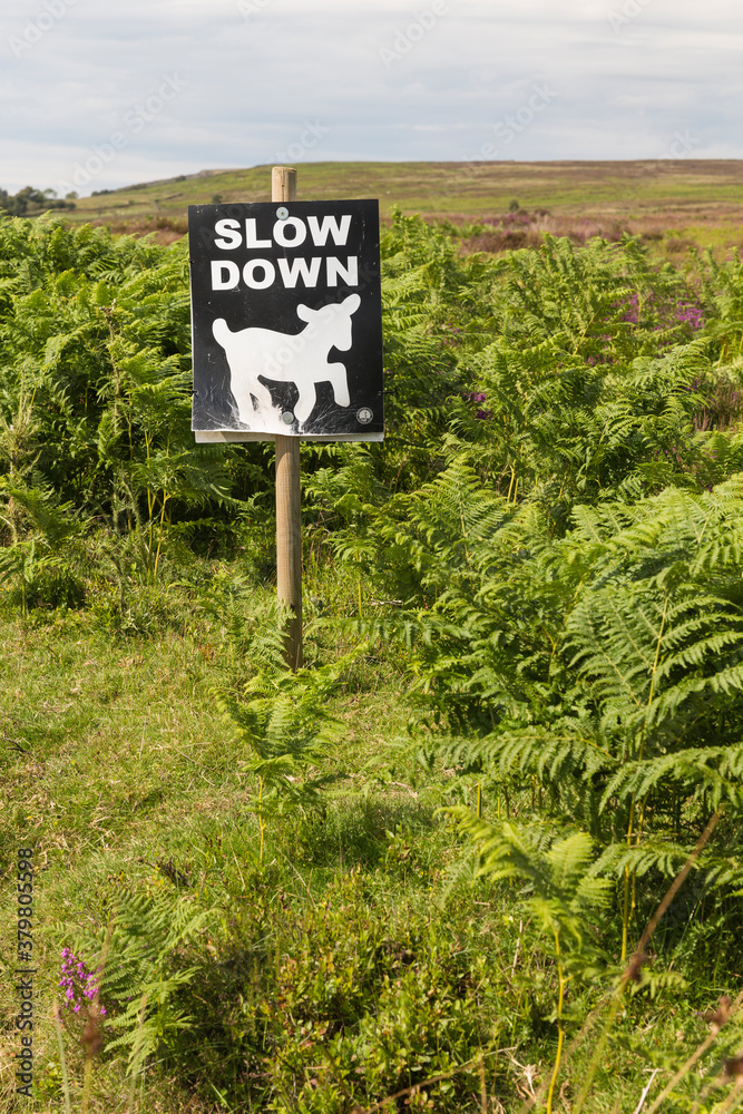 Slow down traffic sign in english countryside Slow down traffic sign in english countryside