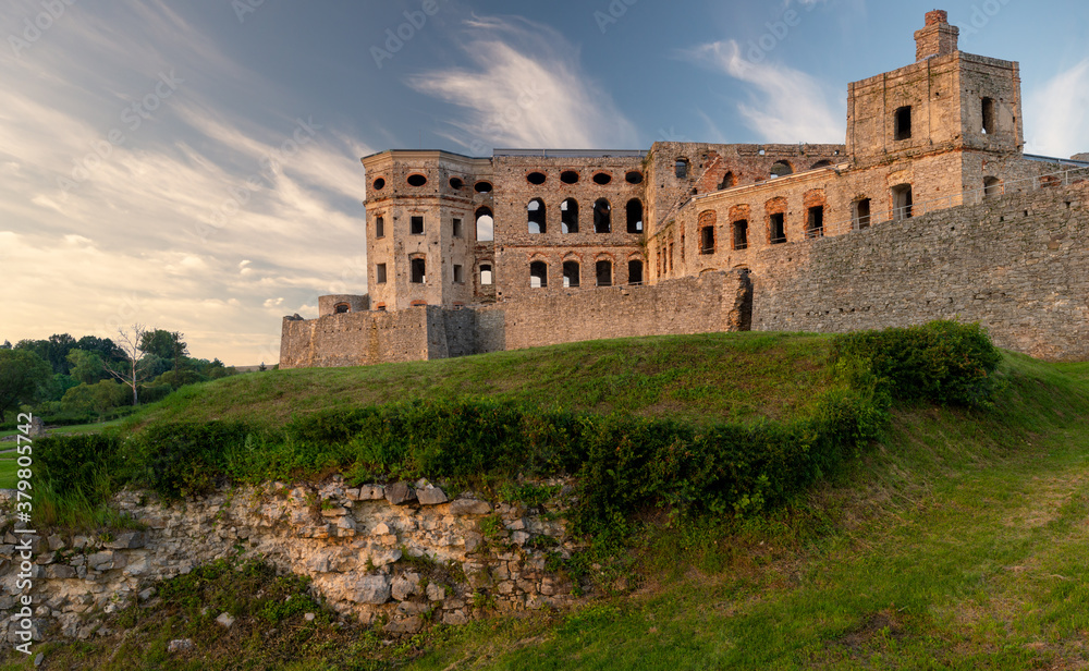 Ruins of Krzyztopor Castle in Poland