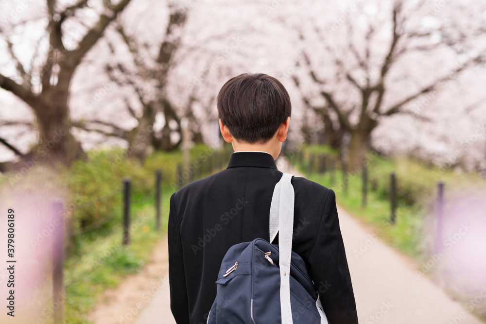 中学生 春 中学生 春