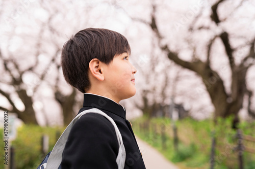 中学生 春