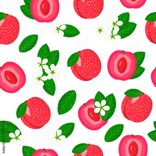 Vector cartoon seamless pattern with Plum Apricot hybrid or Pluot exotic fruits, flowers and leafs on white background