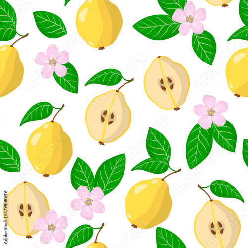 Vector cartoon seamless pattern with Cydonia oblonga or the Quince exotic fruits, flowers and leafs on white background