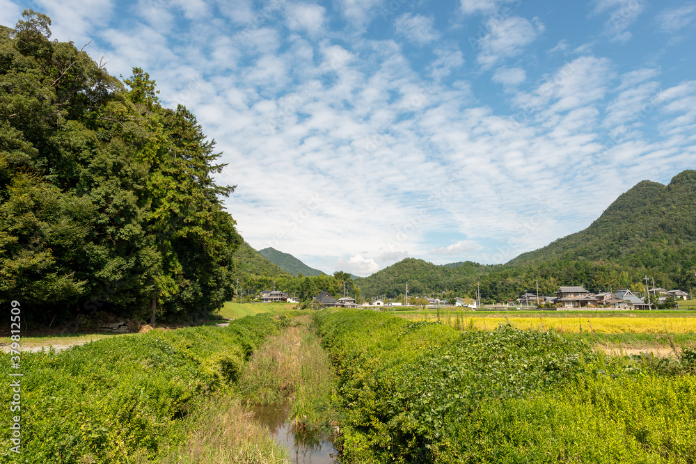 Obraz premium Autumn sky in country side in Sanda city, Hyogo, Japan