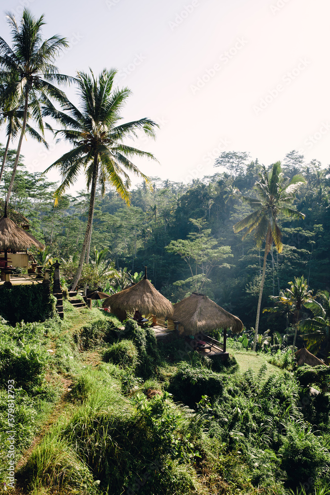 A tropical landscape with straw thatched huts. A tropical landscape with straw thatched huts.