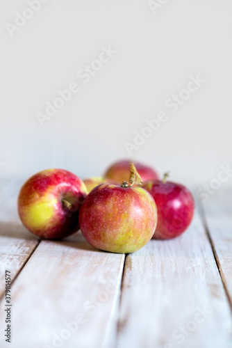 Macintosh Apples photo