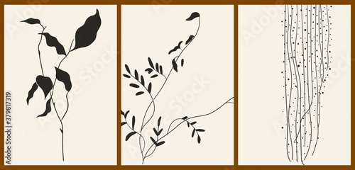 A set of three abstract minimalist aesthetic floral illustrations. Black silhouettes of plants on a light background. Modern monochrome vector posters for social media, web design in vintage style.