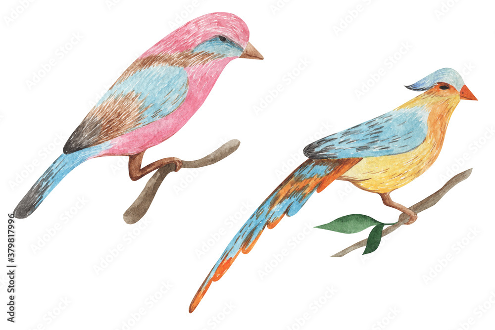 Watercolor bird collection for your design. Elements isolated on white background.