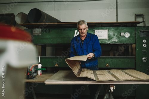 senior woodworker applying veneer on wooden panel with a big press in the back photo