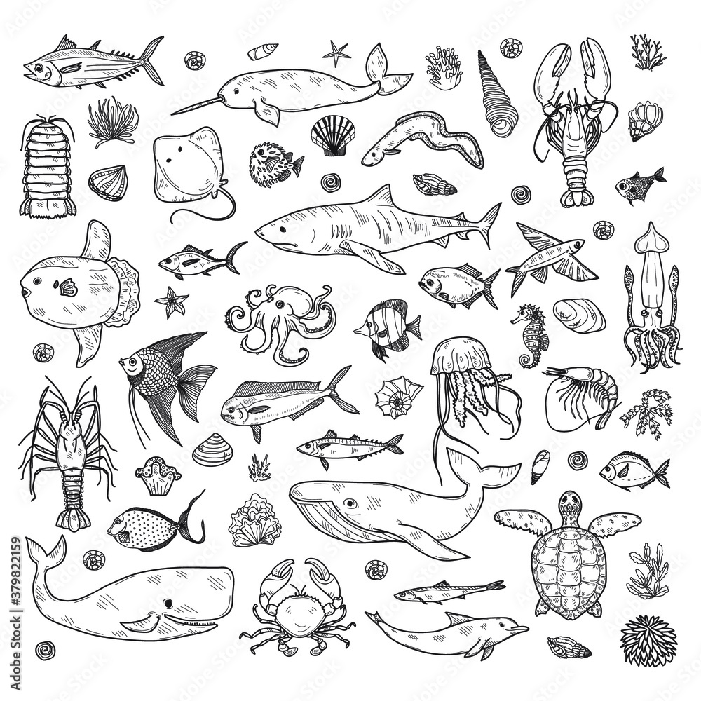 Big set of cute hand drawn marine animals, fish and shells. Vector outline background. May use as coloring page. 