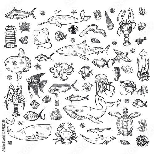 Big set of cute hand drawn marine animals, fish and shells. Vector outline background. May use as coloring page. 