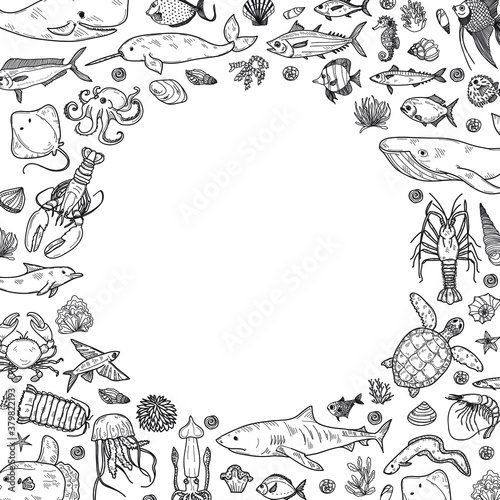 Frame with cute hand drawn marine animals, fish and shells. Vector.  May use as coloring page. 
