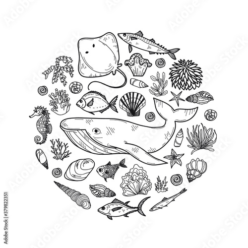 Round composition with cute hand drawn marine animals, fish and shells. Vector.  May use as coloring page. 