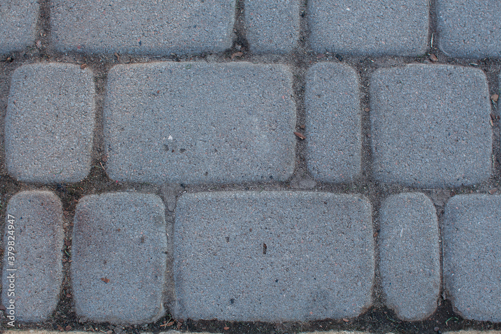 Fototapeta premium paving stones in the park close up