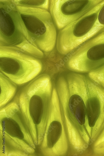 Closeup macro photograph of seeds and cells in kiwano fruit (Cucumis metuliferus) photo