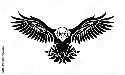 eagle silhouette photo