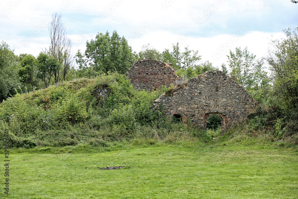 Ruins of old barn covered by bush and lawn Ruins of old barn covered by bush and lawn