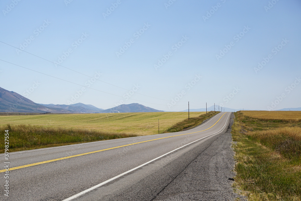 Empty Idaho road with wheat fields Empty Idaho road with wheat fields