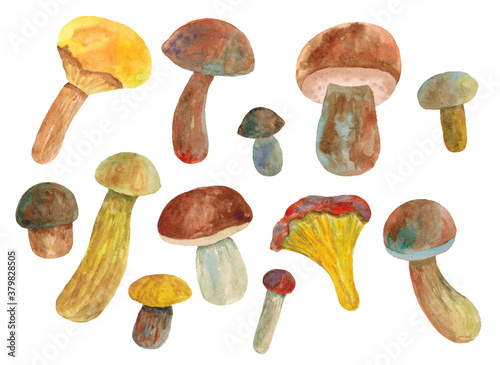 Autumn set with mushrooms, hand-drawn in watercolor.