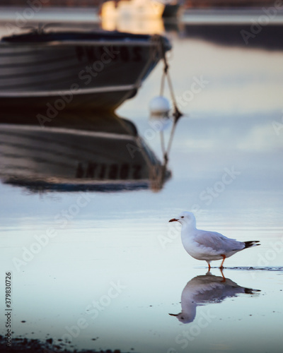 Small boat on a calm cool morning photo