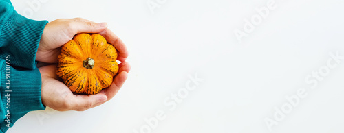 Woman's hand holding small decorative pumpkin.