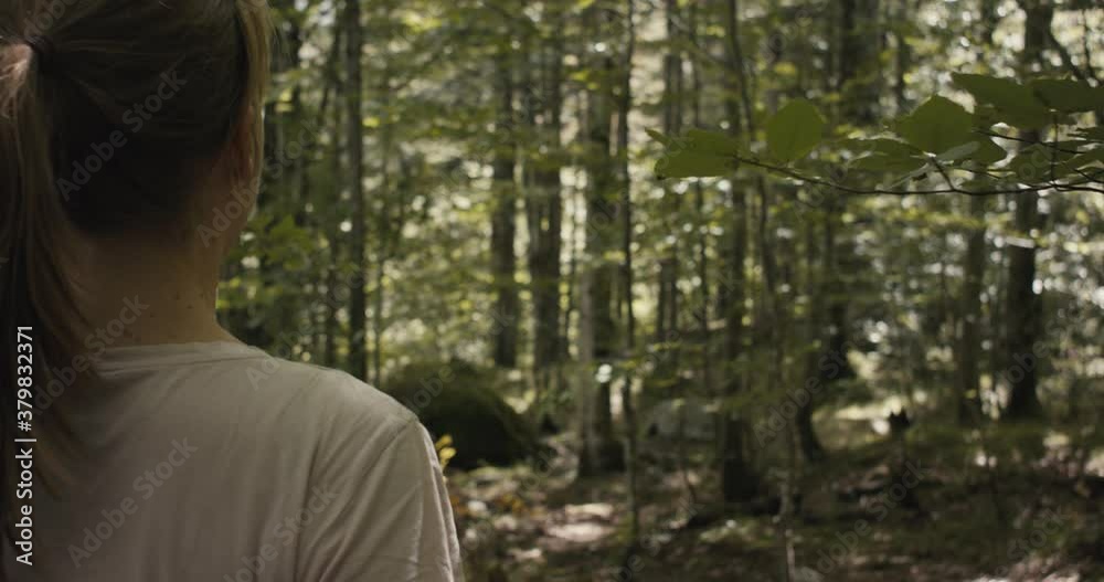 Hiker woman walk on a hiking trail in green forest or woods with young beech trees in beautiful protected national park travel slow motion Hiker woman walk on a hiking trail in green forest or woods with young beech trees in beautiful protected national park travel slow motion