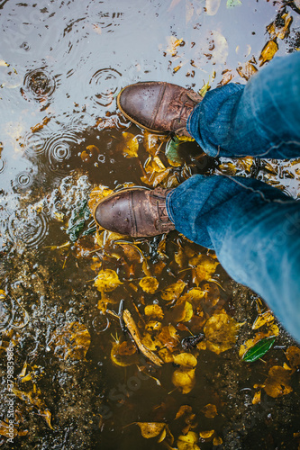 Brown boots wet with rain in a puddle with yellow breech leaves