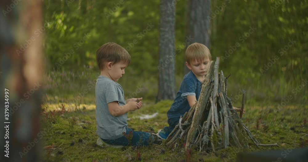 Two boys put sticks in a fire in the woods during a hike. Boys in the woods prepare to light a fire and put sticks together Two boys put sticks in a fire in the woods during a hike. Boys in the woods prepare to light a fire and put sticks together