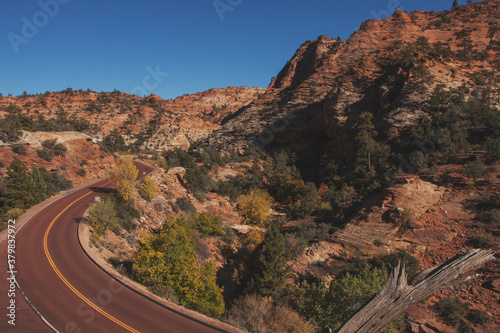 Zion Park Boulavard photo