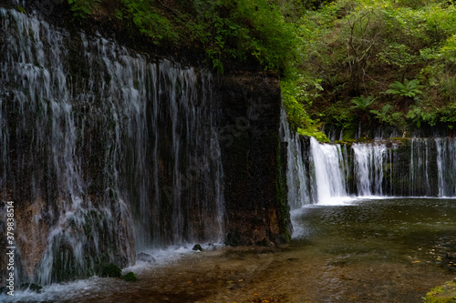 夏の終わりの白糸の滝 / 軽井沢