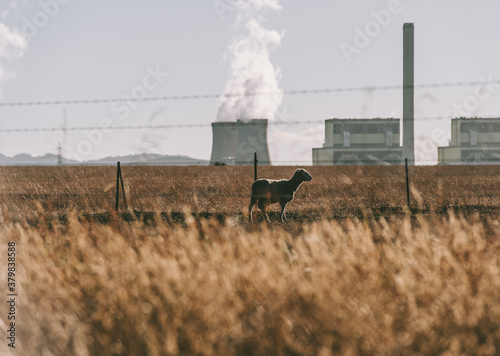 Photo to illustrate Climate Change photo