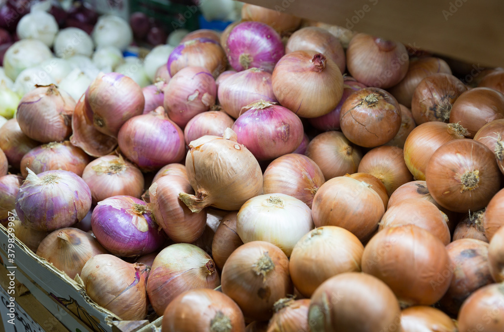 Obraz premium Pile of different onion varieties on market counter