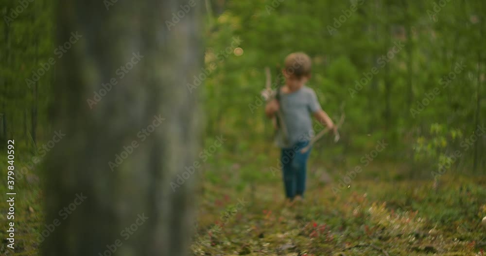 A boy collects and wears sticks for a campfire during a hike. Forest caster for cooking and frying marshmallows 