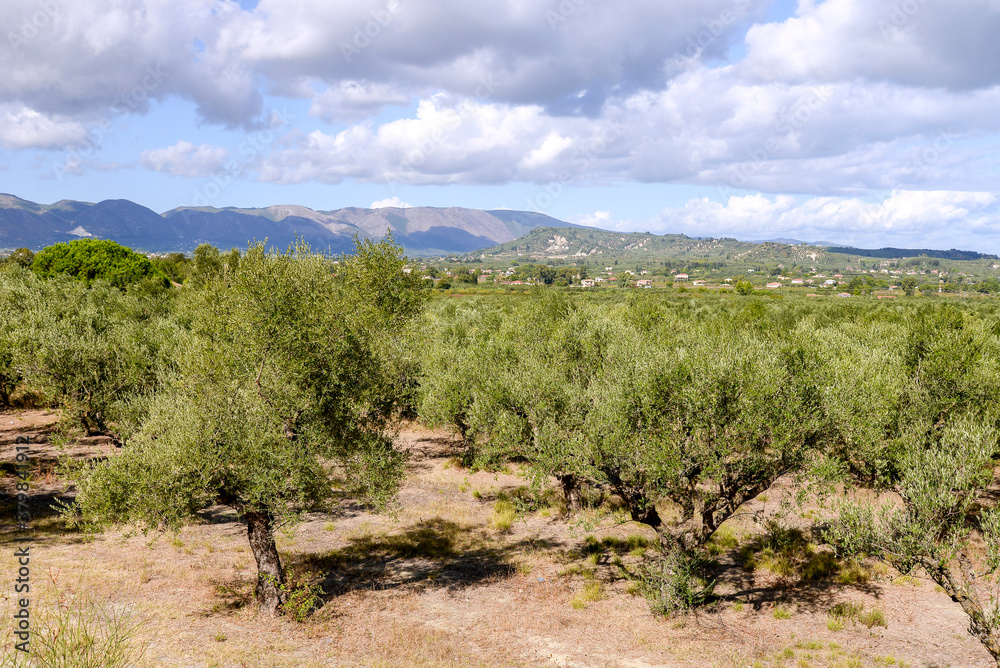 oliva gardens in autumn