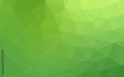 Light Green vector triangle mosaic cover. A completely new color illustration in a vague style. New texture for your design.