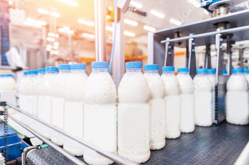 Obraz na plátně Bottling milk production line factory, industry equipment dairy plant