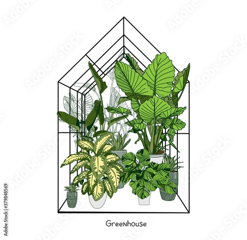 Greenhouse illustration on white background. flower house. Winter Garden. Gardening and truck farming concept. Exotic houseplant..