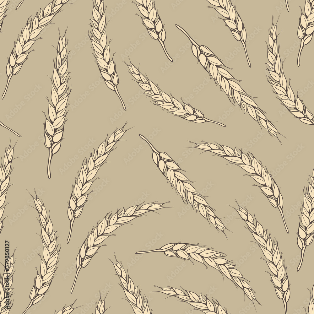 seamless pattern with wheat spikelets