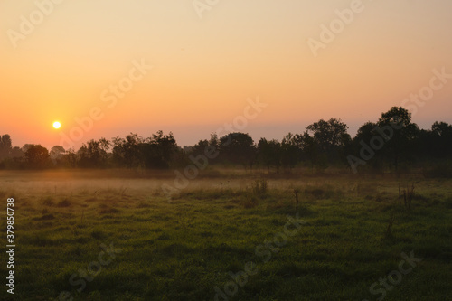  Sun rising over a grassy field in the Weelsby Woods area of Grimsby, North East Lincolnshire, England, United Kingdom