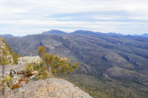 From the Reed Lookout one can enjoy a stunning view out over the Victoria Valley - Grampians, Victoria, Australia