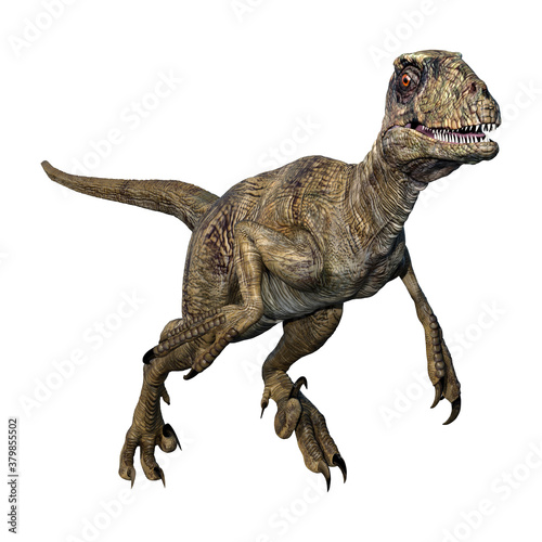 Fototapeta Naklejka Na Ścianę i Meble -  3D Rendering Dinosaur Deinonychus on White