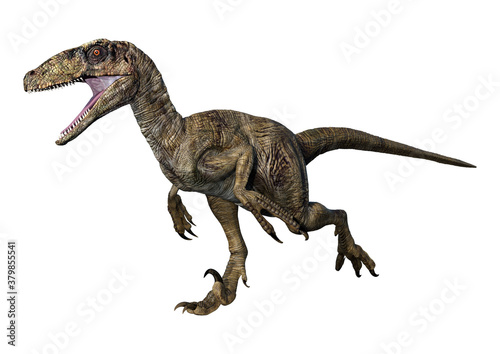 3D Rendering Dinosaur Deinonychus on White photo