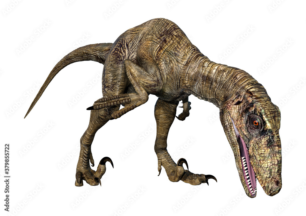 3D Rendering Dinosaur Deinonychus on White 3D Rendering Dinosaur Deinonychus on White