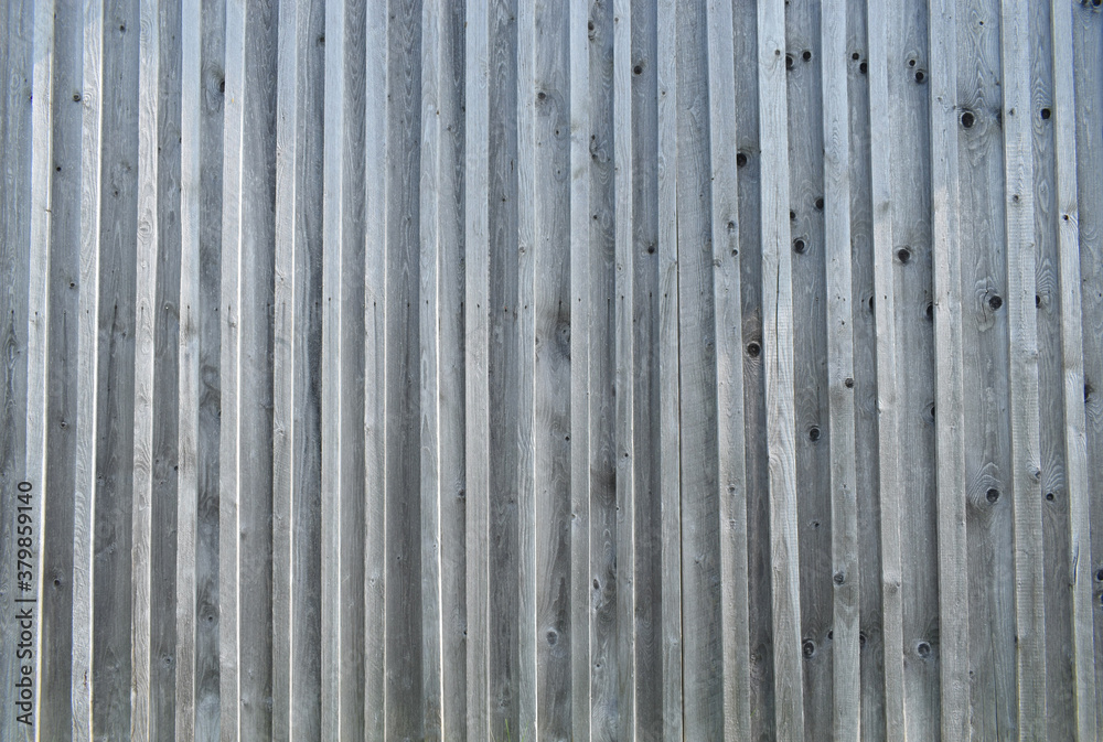 Old wood texture background, wood planks