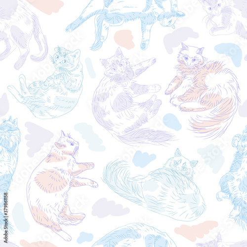 cute cats seamless pattern. pets vector background