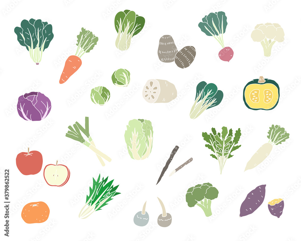 手描きの冬の野菜のイラストのセット シンプル おしゃれ 食べ物 食材 季節 果物 フルーツ Stock Vektorgrafik Adobe Stock