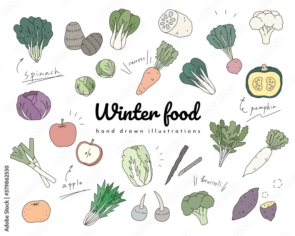 手描きの冬の野菜のイラストのセット シンプル おしゃれ 食べ物 食材 季節 果物 フルーツ Stock Vector Adobe Stock