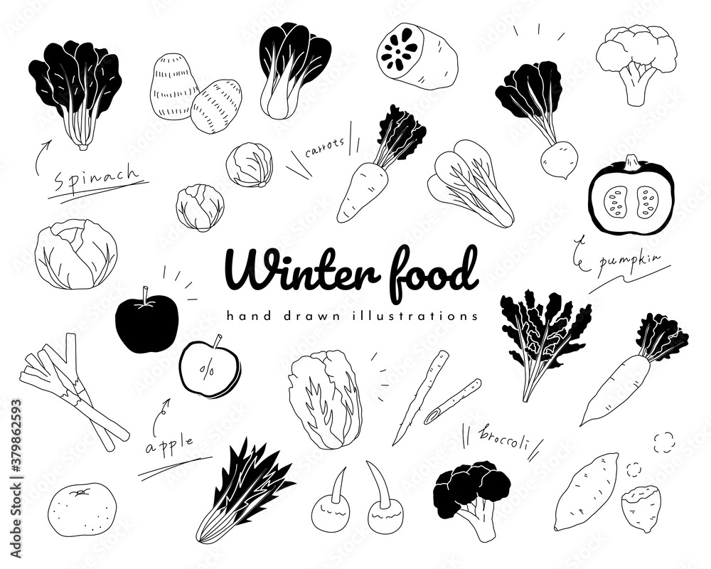 手描きの冬の野菜のイラストのセット シンプル おしゃれ 食べ物 食材 季節 果物 フルーツ Vector De Stock Adobe Stock